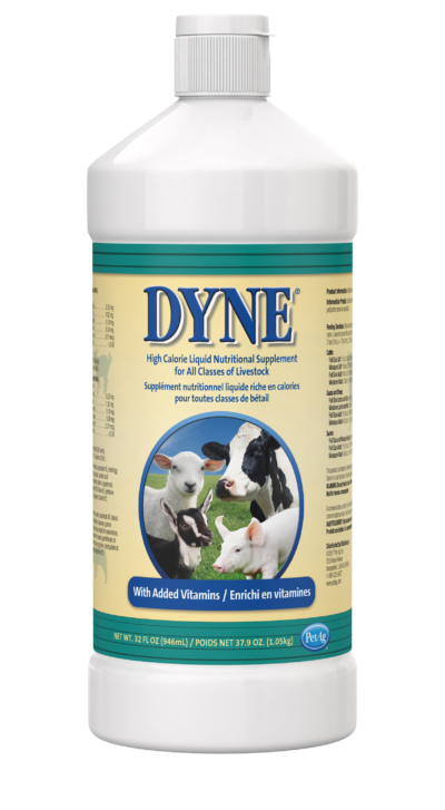 PetAg Dyne® High Calorie Liquid Nutritional Supplement for Livestock