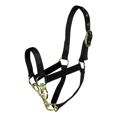 Hamilton Control Halter with Chain Black