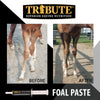 Tribute Foal Paste Nutrient & Probiotic-Packed Supplement (32 cc)