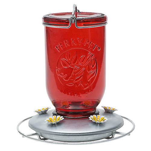 Perky-Pet® Red Mason Jar Glass Hummingbird Feeder - 32 oz Nectar Capacity