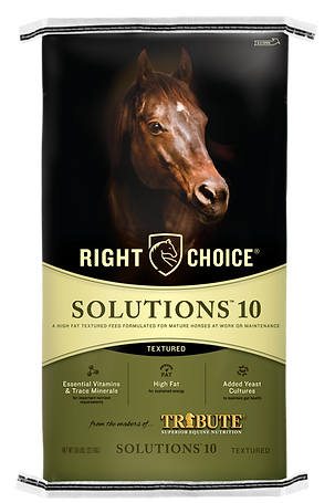 Solutions® 10 Textured Horse Feed