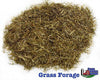Green Meadows Grass Forage