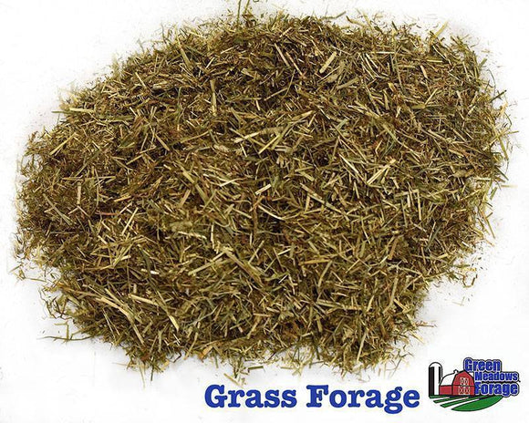 Green Meadows Grass Forage