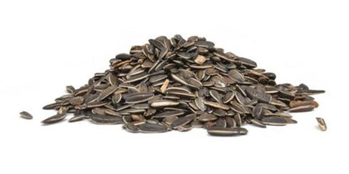 Naturalist Striped Sunflower Seed
