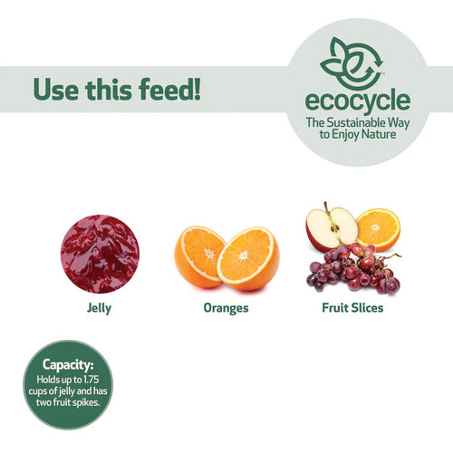 Nature's Way Bird Products EcoCycle™ Citrus Sampler Recycled Plastic Orange and Jelly Oriole Bird Feeder