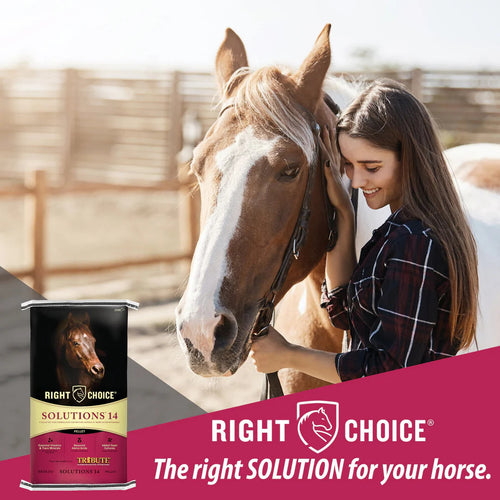 Kalmbach Solutions® 14 Pellet Horse Feed
