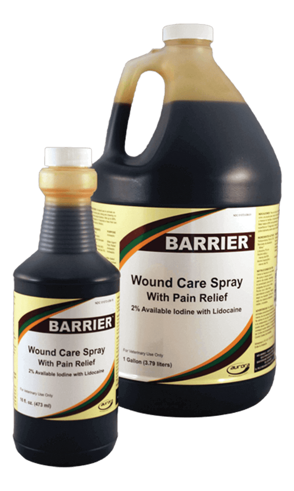 Aurora Pharmaceutical Barrier® Wound Care