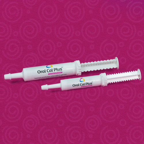 Breeder's Edge Oral Cal Plus™ Gel for Dogs & Cats