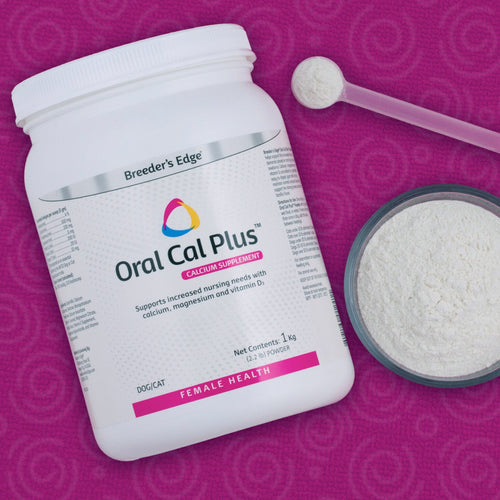Breeder's Edge Oral Cal Plus™ Powder for Dogs & Cats