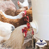 Riverbend Resources Poultry Pro Feeder