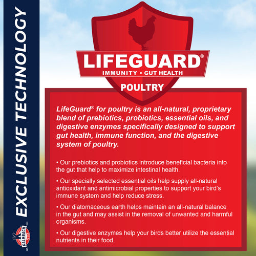 Kalmbach Feeds Henhouse Reserve Love Bug™ for Chickens and Poultry