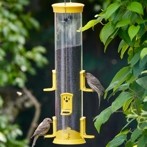 Nature's Way Large Plastic Thistle Tube Bird Feeder