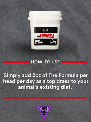 Rule Supplements The Formula