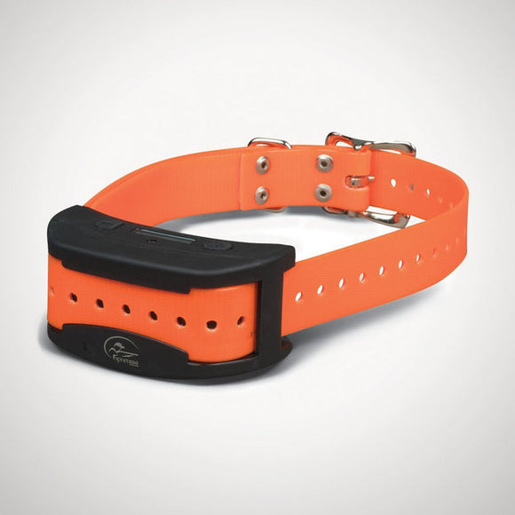 Sport Dog Contain + Train™ Add-A-Dog® Collar (3.4