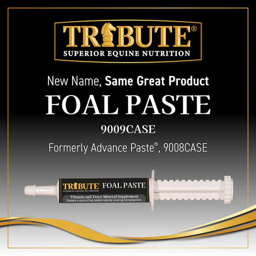 Tribute Foal Paste Nutrient & Probiotic-Packed Supplement (32 cc)