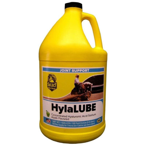 SELECT THE BEST HYLALUBE CONCENTRATE (1 GAL, APPLE)